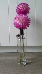 Op Mix Erf - Amersfoort - stekjes - dahlia in fles van Piet Boon