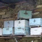 Fotoreportage Op Mix Erf - Wendy's wereld - Evia 2012 bijenkasten