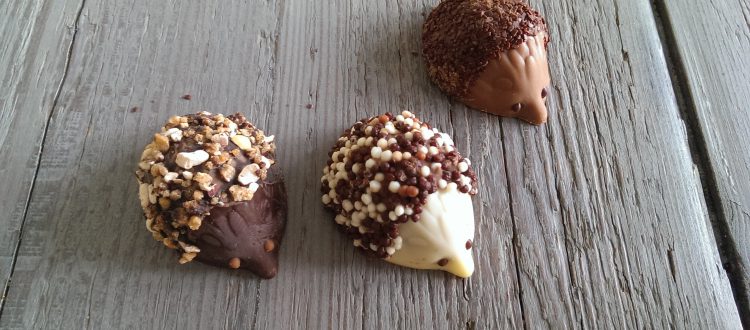 op-mix-erf-amersfoort-blog-teksten-chocolade-egeltjes