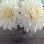 op-mix-erf-bloemen-en-planten-wendy-phaff-dahlias