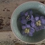 Op Mix Erf - bloemen en planten - Wendy Phaff - Ridderspoor bloemen in kommetje